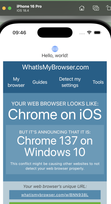 Webview test iOS